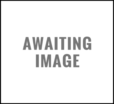 2004 FORD FUSION 3